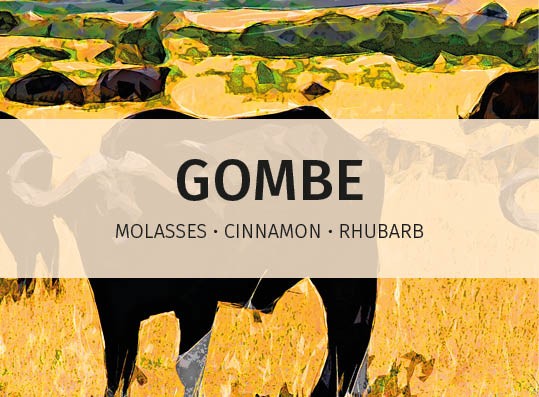 featured-image-Gombe-online-label-speciality-coffee-for-hospitality-industry2