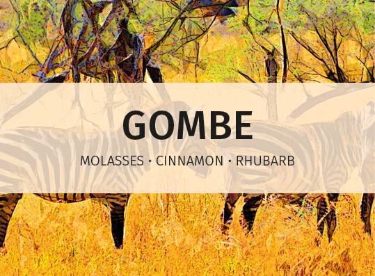featured-image-Gombe-online-label-speciality-coffee-for-hospitality-industry3