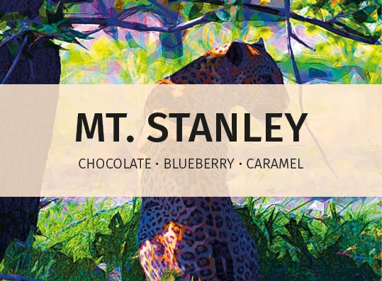 featured-image-Mt-Stanley-online-label-speciality-coffee-for-hospitality-industry