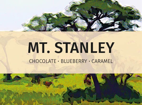 featured-image-Mt-Stanley-online-label-speciality-coffee-for-hospitality-industry3