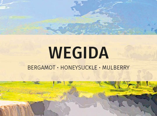 featured-image-Wegida-online-label-speciality-coffee-for-hospitality-industry