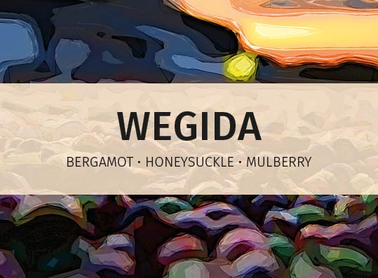 featured-image-Wegida-online-label-speciality-coffee-for-hospitality-industry2