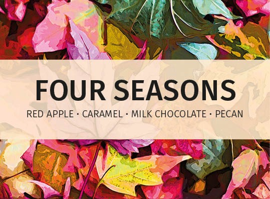 featured-image-four-seasons-online-label-speciality-coffee-for-hospitality-industry_v4